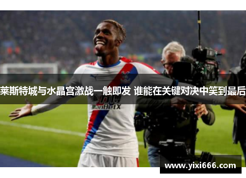 莱斯特城与水晶宫激战一触即发 谁能在关键对决中笑到最后 莱斯特城与水晶宫激战一触即发 谁能在关键对决中笑到最后