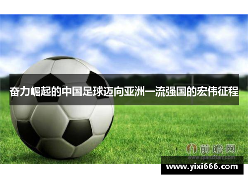 奋力崛起的中国足球迈向亚洲一流强国的宏伟征程 奋力崛起的中国足球迈向亚洲一流强国的宏伟征程